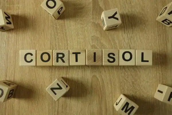 The Hidden Connection: How Stress Shapes Your Fitness and Body Composition 2 Image saying "Cortisol" and how stress Rhyl impacts your wellbeing and bodies shape